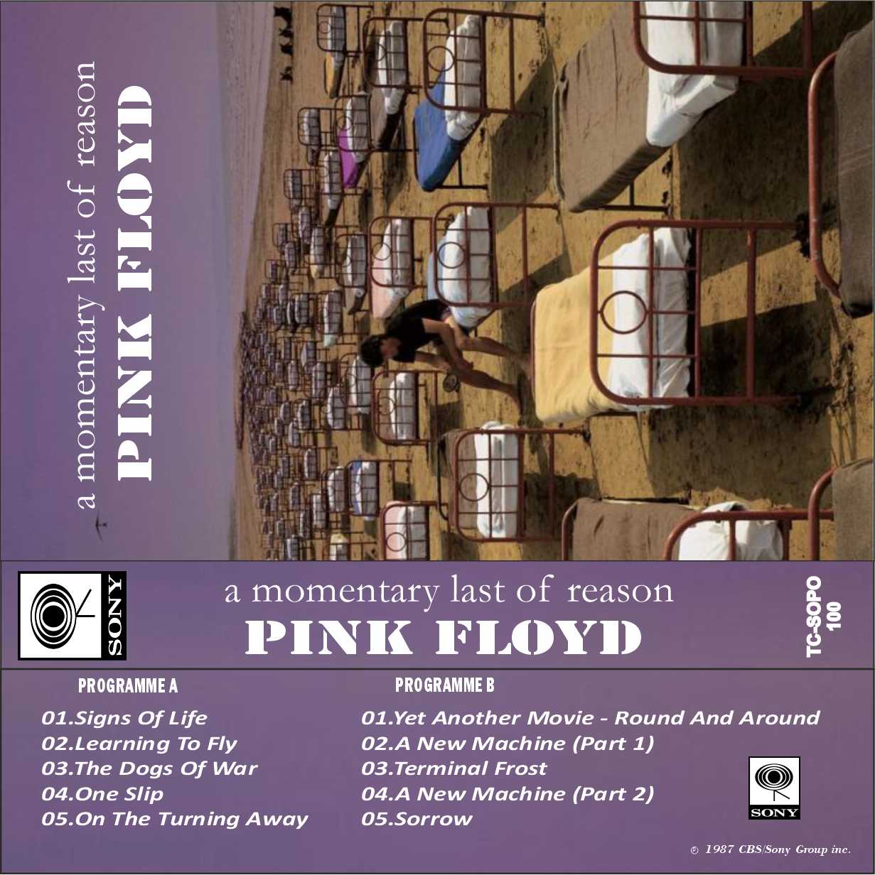 Pink Floyd-A Momentary Lapse of Reason